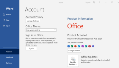 office 2021 professional plus activated